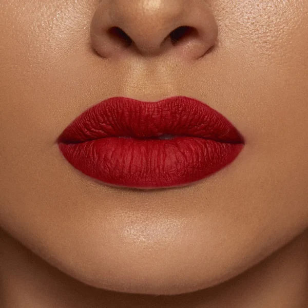 MATTE LIP COLOR EXPLICIT FEVER